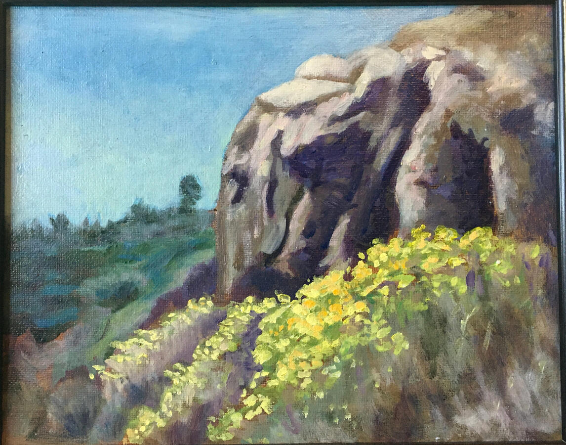 Wildflowers in the Eastern Sierras