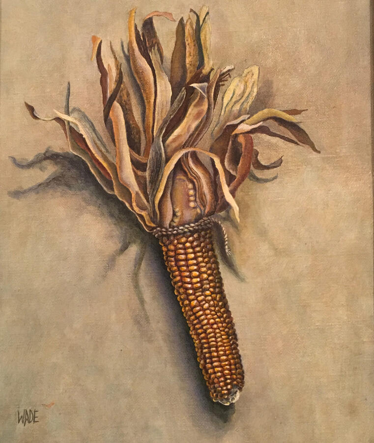 Dried Corn