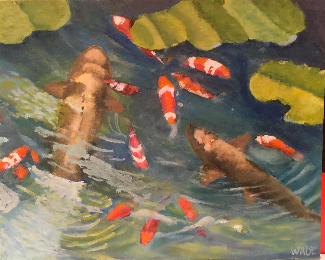 Carp and Koi