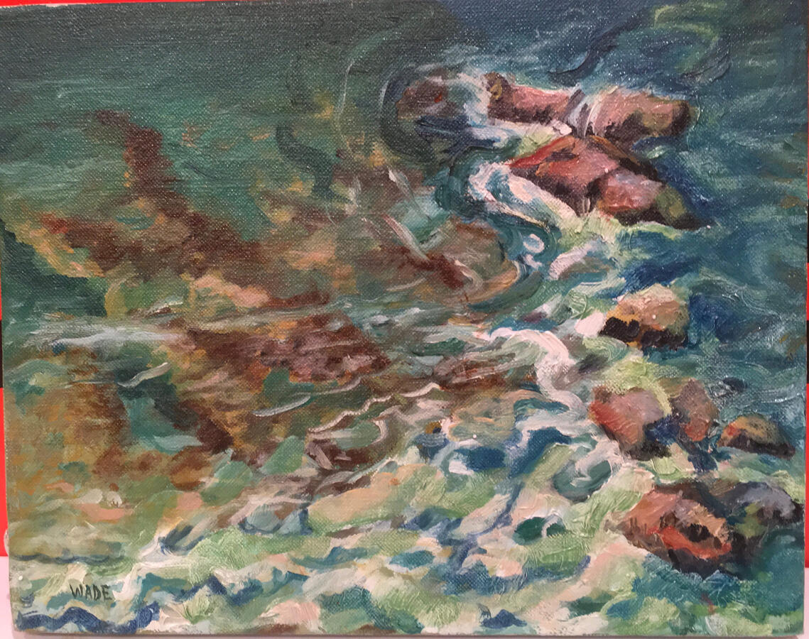 Study of the Shallows
