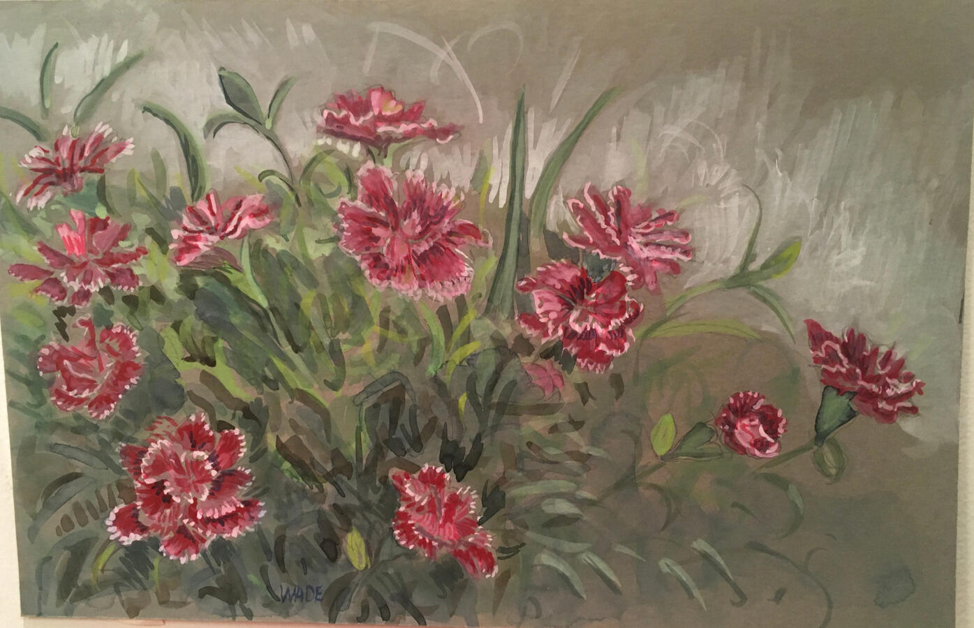 Wild Carnation 1