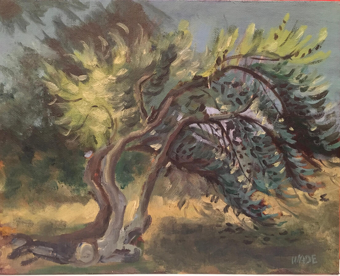 Bending Pines