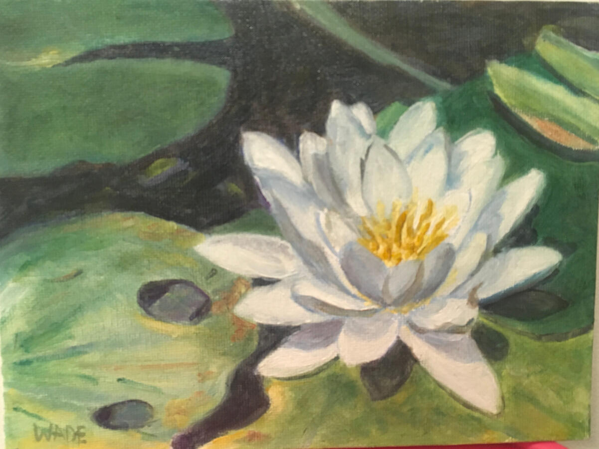 Lilly Study 2